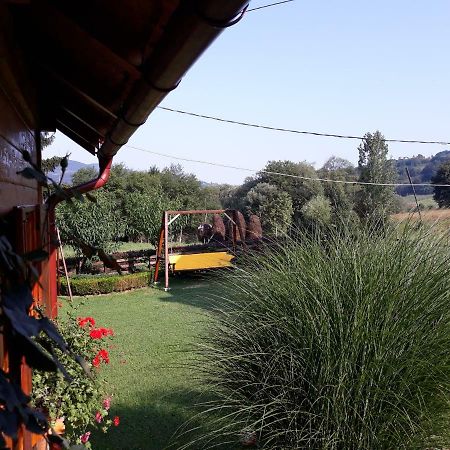 Guesthouse Kuzmanovic Guca Luaran gambar