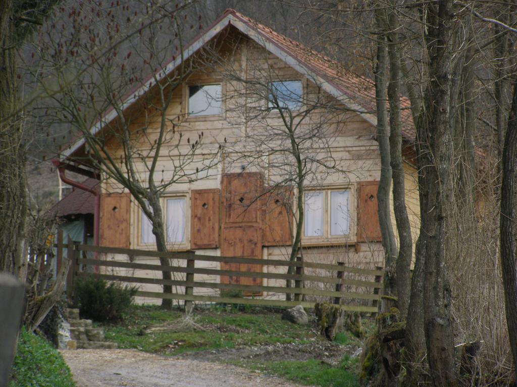 Guesthouse Kuzmanovic Guca Luaran gambar