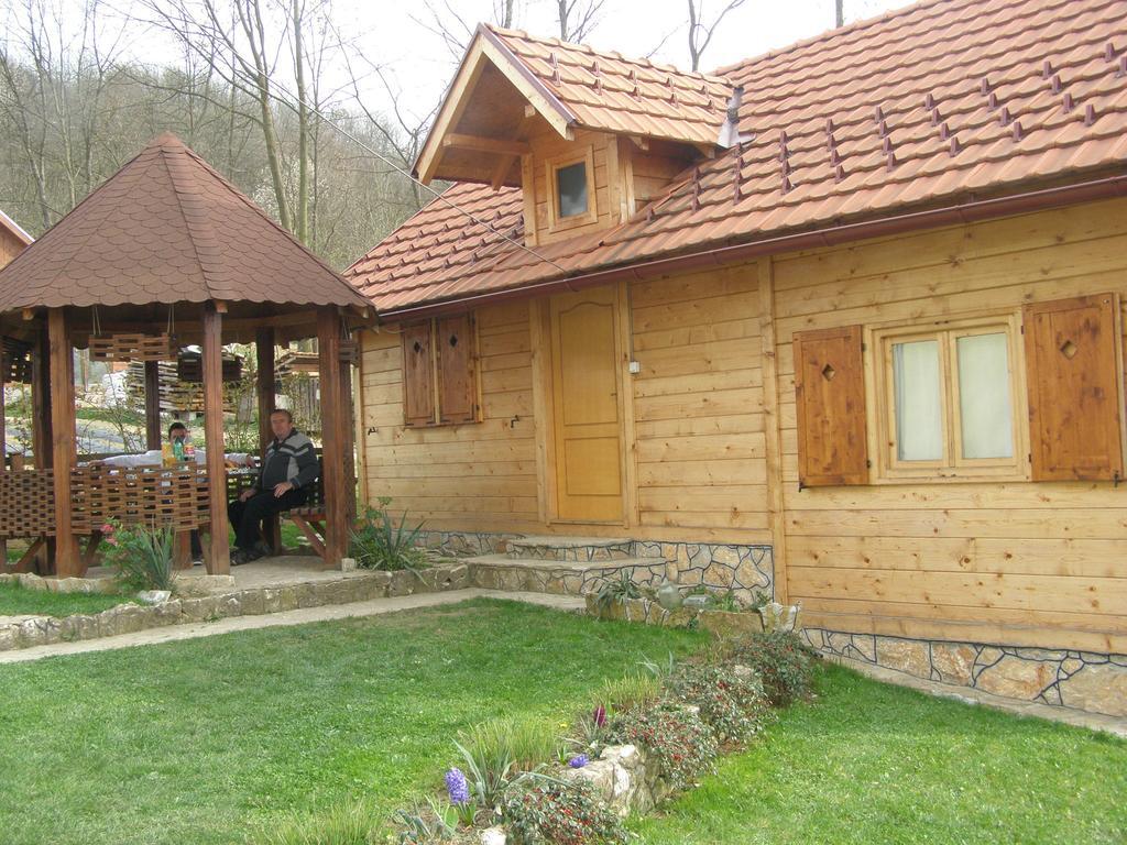 Guesthouse Kuzmanovic Guca Luaran gambar