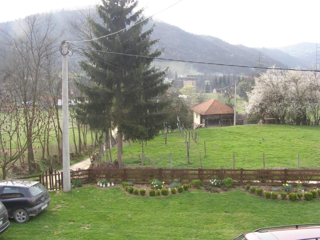 Guesthouse Kuzmanovic Guca Luaran gambar