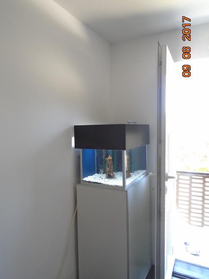 Guesthouse Kuzmanovic Guca Luaran gambar