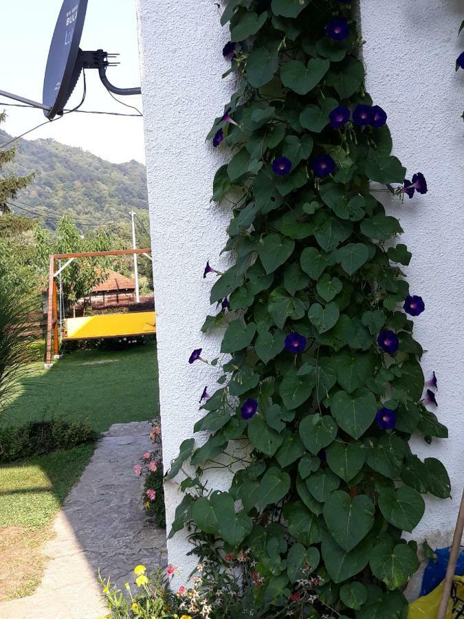 Guesthouse Kuzmanovic Guca Luaran gambar