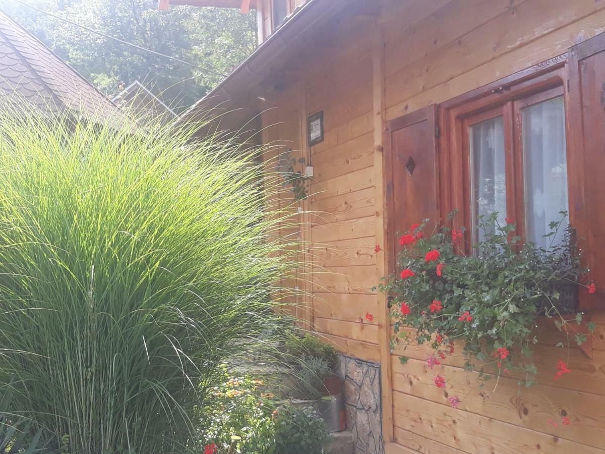 Guesthouse Kuzmanovic Guca Luaran gambar