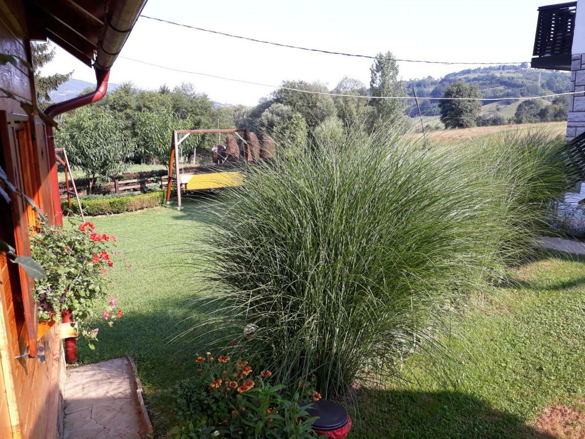 Guesthouse Kuzmanovic Guca Luaran gambar