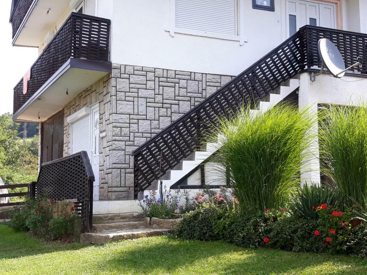 Guesthouse Kuzmanovic Guca Luaran gambar